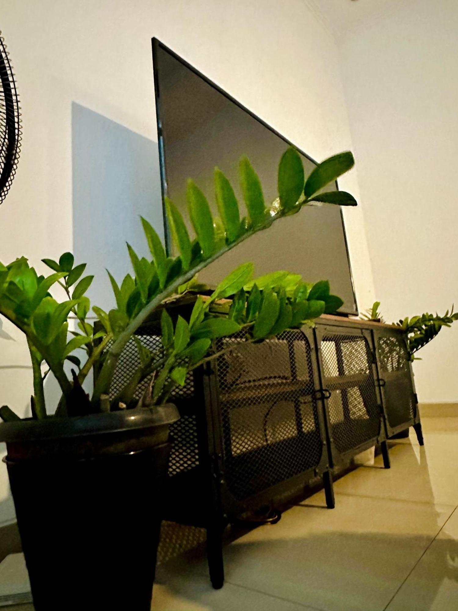 4-Bedroom Home In South Jakarta Nuansa Swadarma Residence By Le Ciel Hospitality ภายนอก รูปภาพ